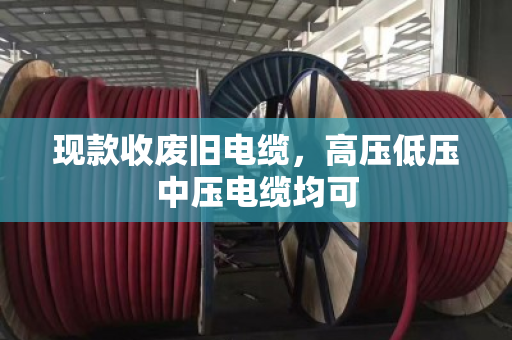 现款收废旧电缆，高压低压中压电缆均可