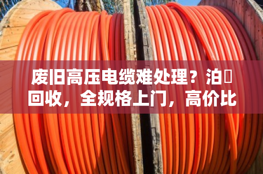 废旧高压电缆难处理?泊祎回收,全规格上门,高价比同行 废旧高压电缆难处理?泊祎回收,全规格上门,高价比同行