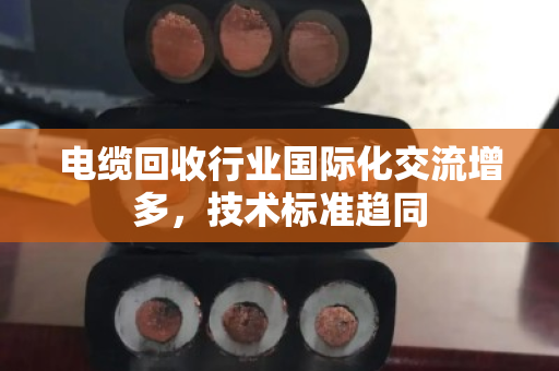 电缆回收行业国际化交流增多，技术标准趋同