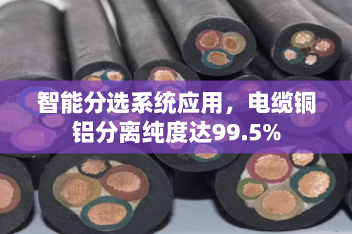 智能分选系统应用,电缆铜铝分离纯度达99.5% 智能分选系统应用,电缆铜铝分离纯度达99.5%