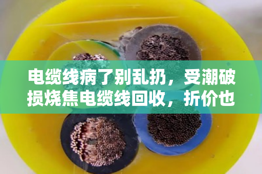 电缆线病了别乱扔，受潮破损烧焦电缆线回收，折价也能变现金