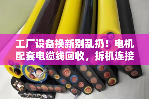 工厂设备换新别乱扔!电机配套电缆线回收,拆机连接线也能卖个好价钱 工厂设备换新别乱扔!电机配套电缆线回收,拆机连接线也能卖个好价钱