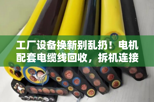 工厂设备换新别乱扔！电机配套电缆线回收，拆机连接线也能卖个好价钱
