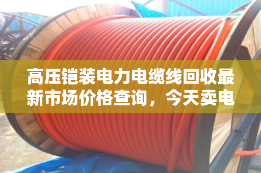 高压铠装电力电缆线回收最新市场价格查询,今天卖电缆亏没亏?泊祎回收给你交个实底 高压铠装电力电缆线回收最新市场价格查询,今天卖电缆亏没亏?泊祎回收给你交个实底