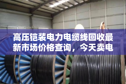 高压铠装电力电缆线回收最新市场价格查询,今天卖电缆亏没亏?泊祎回收给你交个实底 高压铠装电力电缆线回收最新市场价格查询,今天卖电缆亏没亏?泊祎回收给你交个实底
