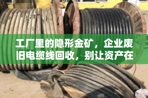工厂里的隐形金矿，企业废旧电缆线回收，别让资产在库房里睡大觉