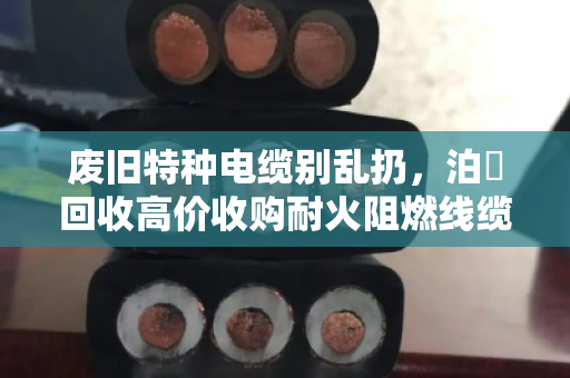 废旧特种电缆别乱扔,泊祎回收高价收购耐火阻燃线缆,省心又划算 废旧特种电缆别乱扔,泊祎回收高价收购耐火阻燃线缆,省心又划算