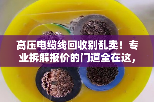 高压电缆线回收别乱卖！专业拆解报价的门道全在这，泊祎回收给你交个实底