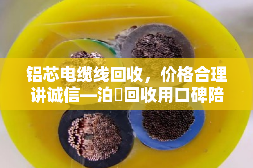 铝芯电缆线回收，价格合理讲诚信—泊祎回收用口碑陪你走稳每一步