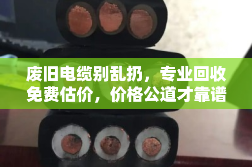 废旧电缆别乱扔,专业回收免费估价,价格公道才靠谱! 废旧电缆别乱扔,专业回收免费估价,价格公道才靠谱!
