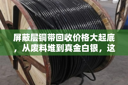 屏蔽层铜带回收价格大起底，从废料堆到真金白银，这些门道你得懂