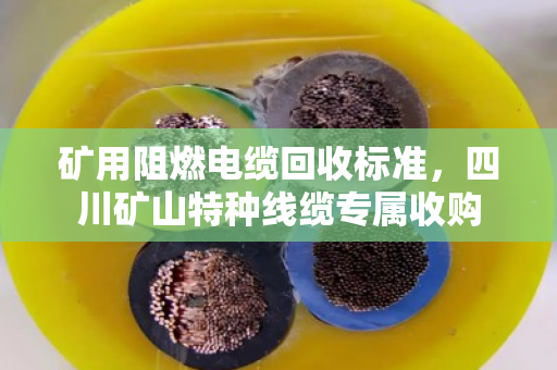 矿用阻燃电缆回收标准，四川矿山特种线缆专属收购